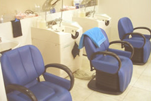 Auto Shampoo System