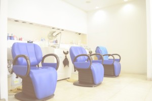 Auto Shampoo System